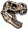 Rex92 avatar