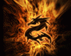 zsemlemorzsa avatar