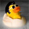palikacsa avatar