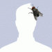 kovb677 avatar