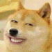 SzocaCicuBimBam avatar