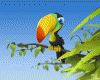 PapiPredator avatar
