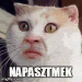 csaba956 avatar